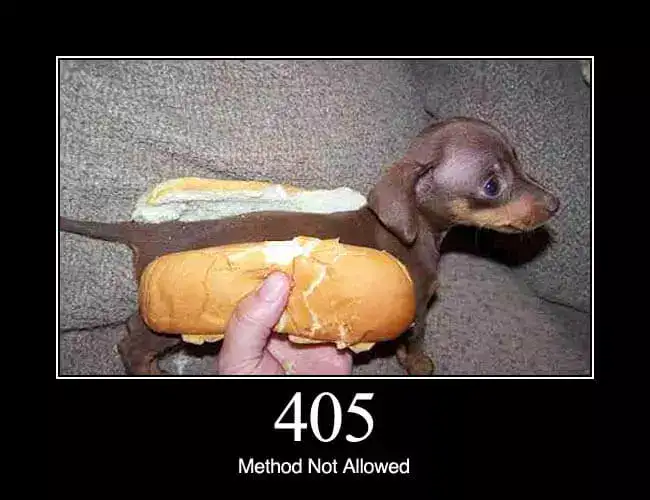 Method Not Allowed