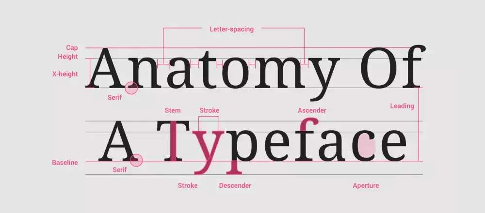 Handling web fonts with TypoGraphy.js